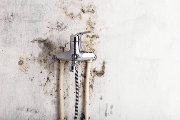 Best Water Damage Restoration  in Altoona, PA