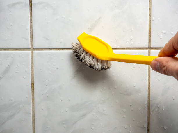 Best Attic Mold Removal  in Altoona, PA